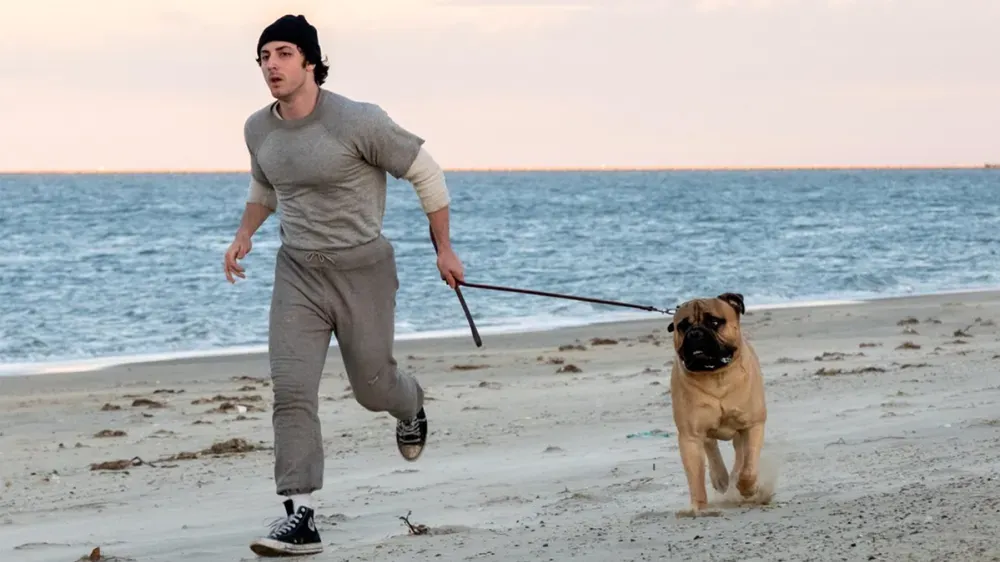 На фестивале Coronado Island Film Festival покажут «Рокки — это я» и «Бумажный тигр»