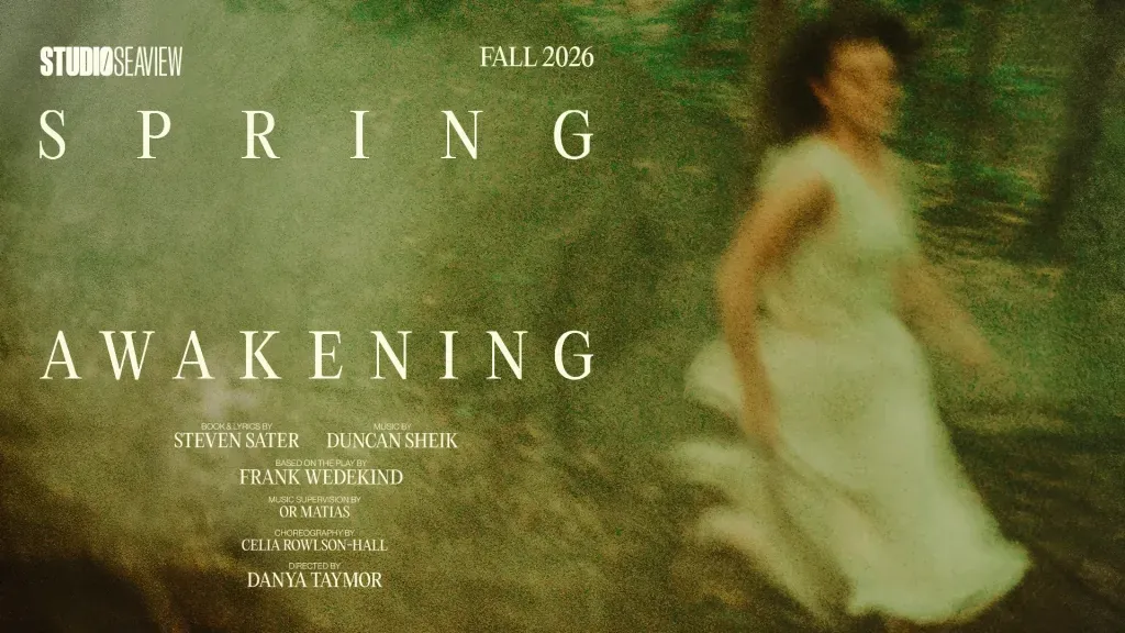Кадр из мюзикла «Spring Awakening»