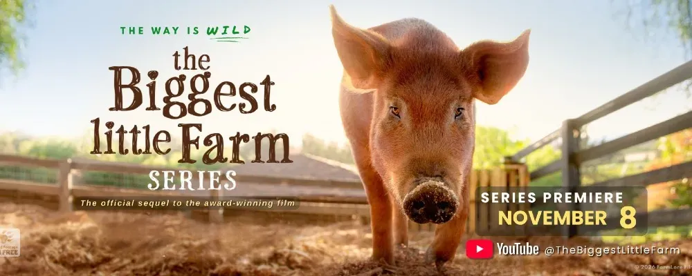 Кадр: «The Biggest Little Farm Series»