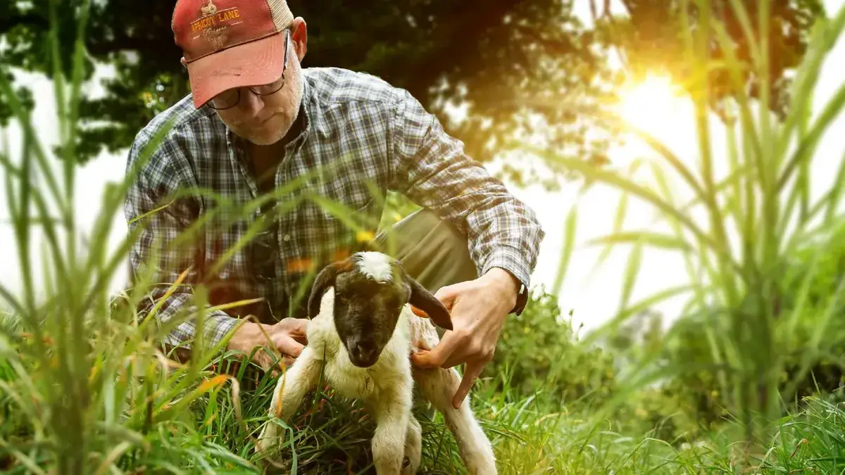 Документальный сериал «The Biggest Little Farm Series» выйдет 8 ноября